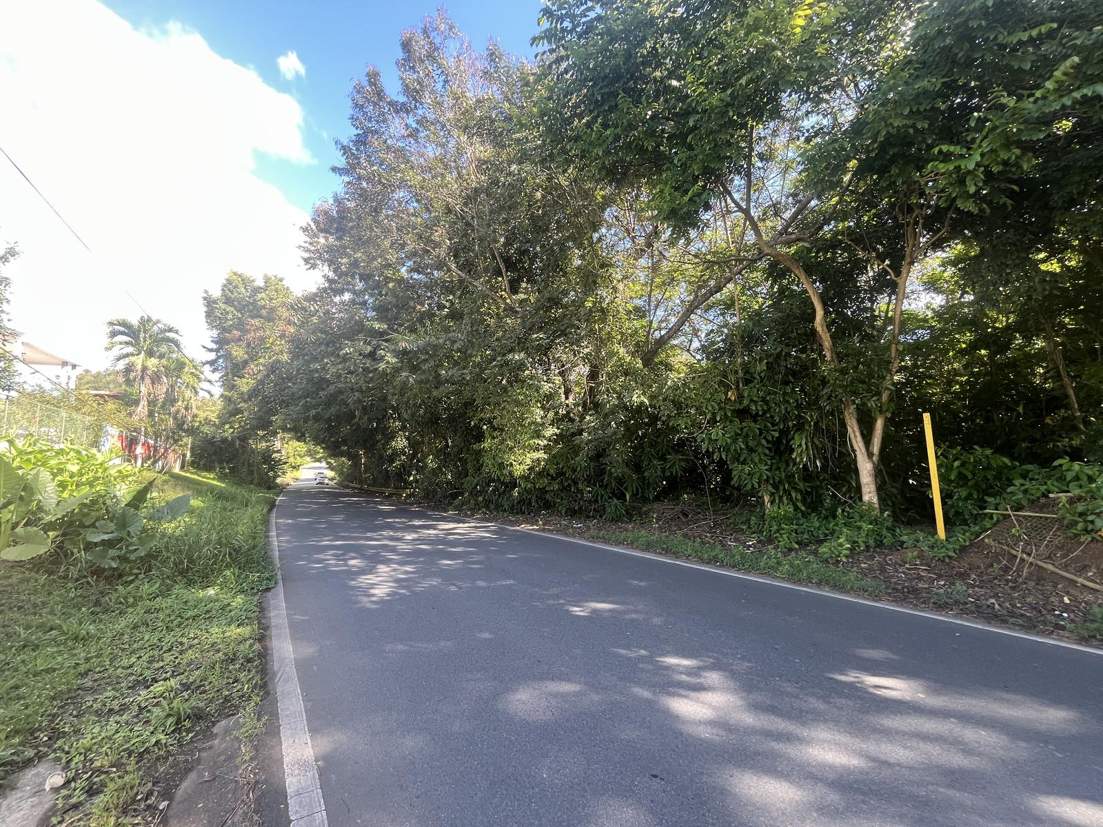 Unique Opportunity! 15 Cuerdas Across from Hacienda Muñoz – PR-181 — photo 5