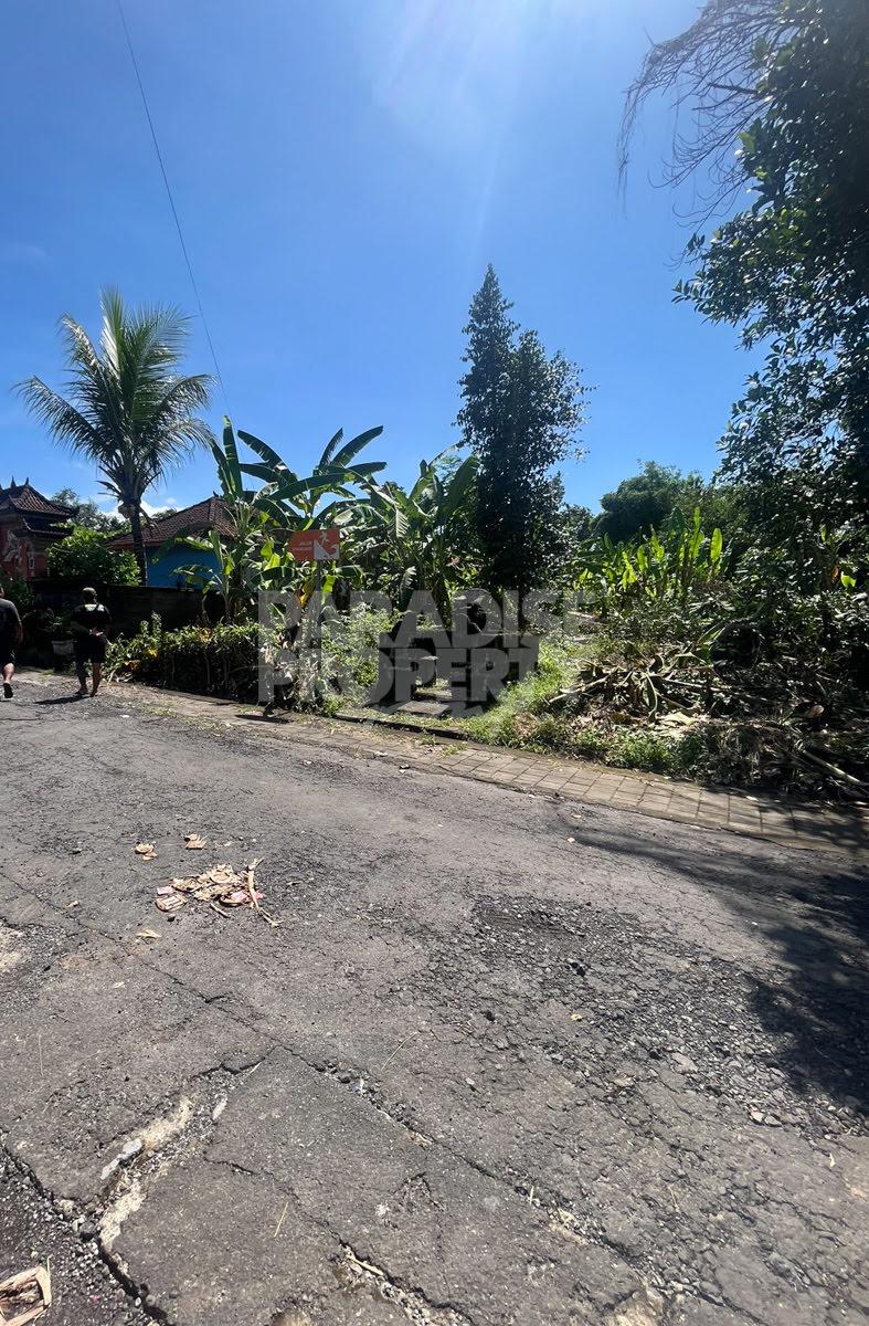 Freehold Riverfront Land, 3,000 m² in Kelating, Tabanan — photo 5