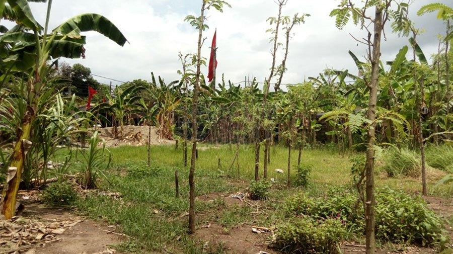 Freehold Land in Kedonganan, Jimbaran, Bali — photo 2