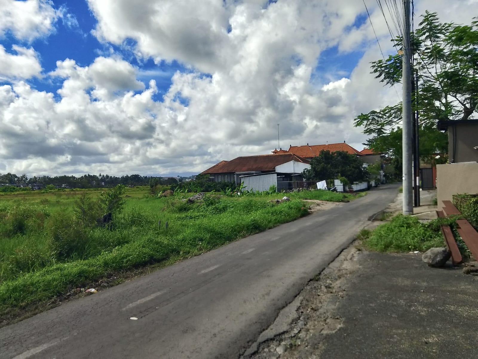 Panoramic Land for Sale in Mas, Bali — photo 5