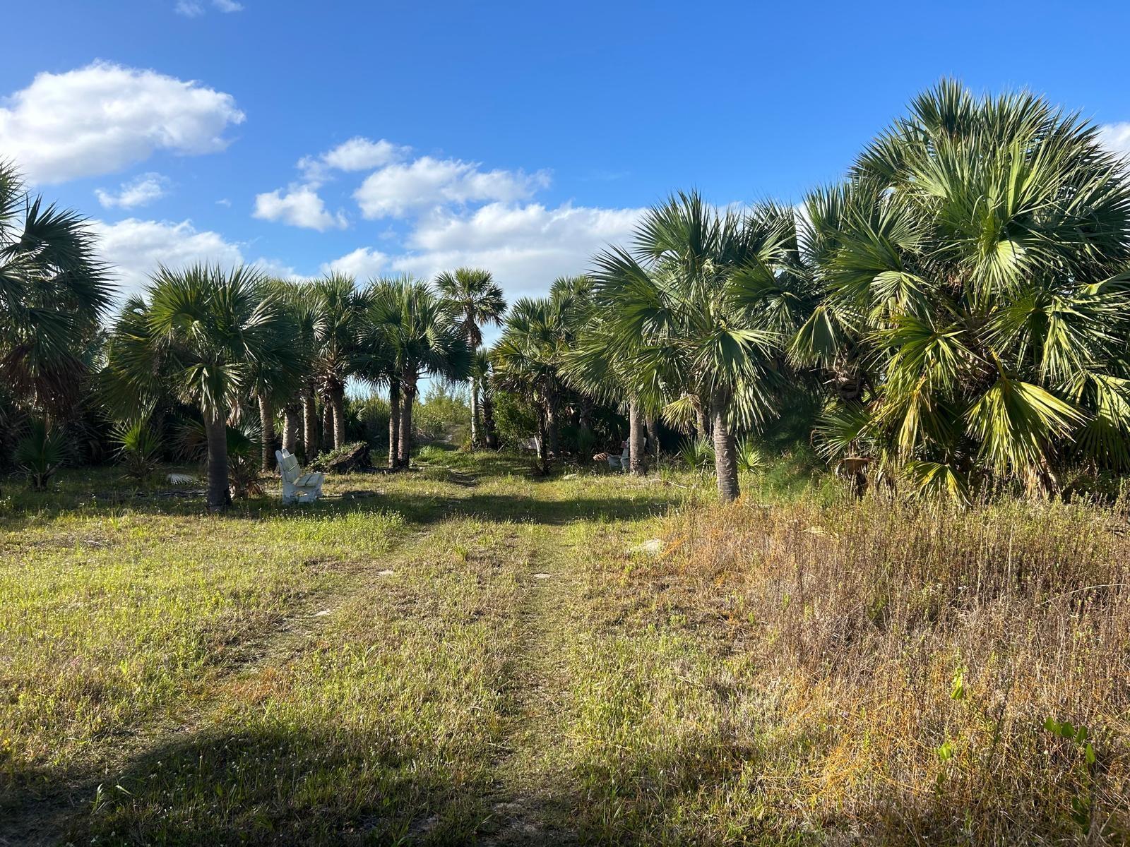 10 ACRES GRAND BAHAMA — photo 2