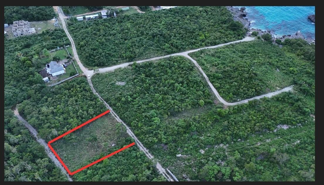 DAIRY St. Ann Discovery Bay — photo 1