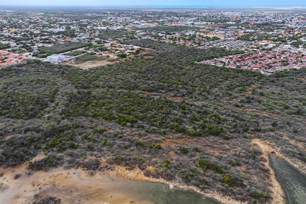 3.4 Acres of Land for Sale, Saliña di Vlijt, Kralendijk, Bonaire — photo 5