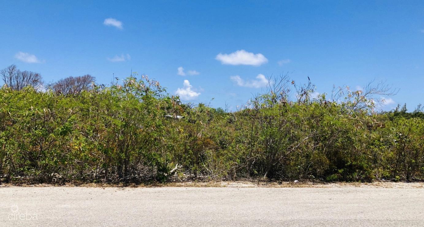 Colliers Duplex Lot - .32 Acres — photo 2