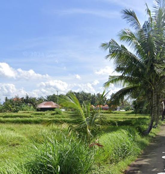 35 Are Land for Lease in Lodtunduh, Ubud with Rice Field Views — photo 1