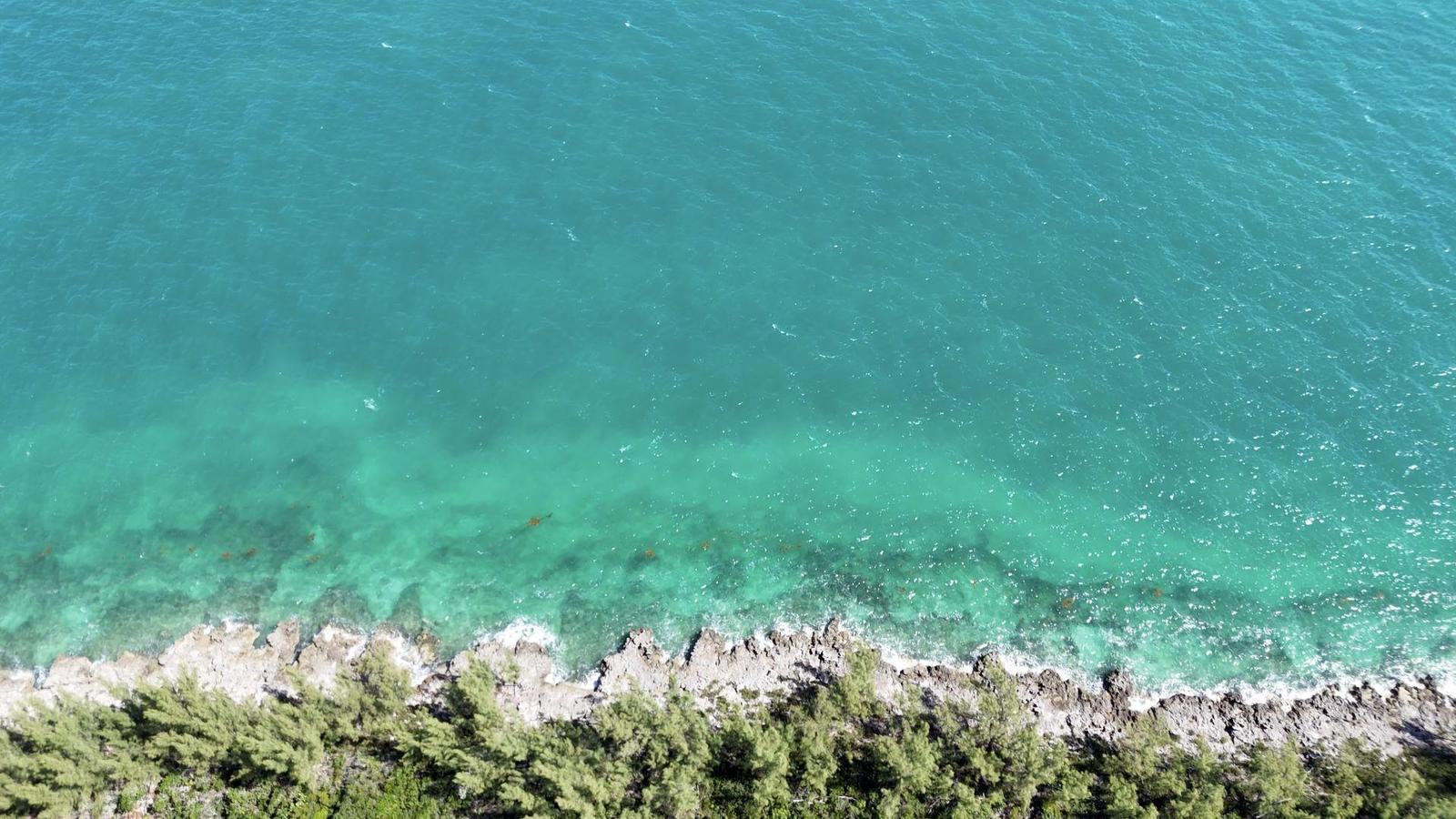 43.9 Acres of Sea-to-Sea Land for Sale, Coopers Town, Abaco, Bahamas — photo 5