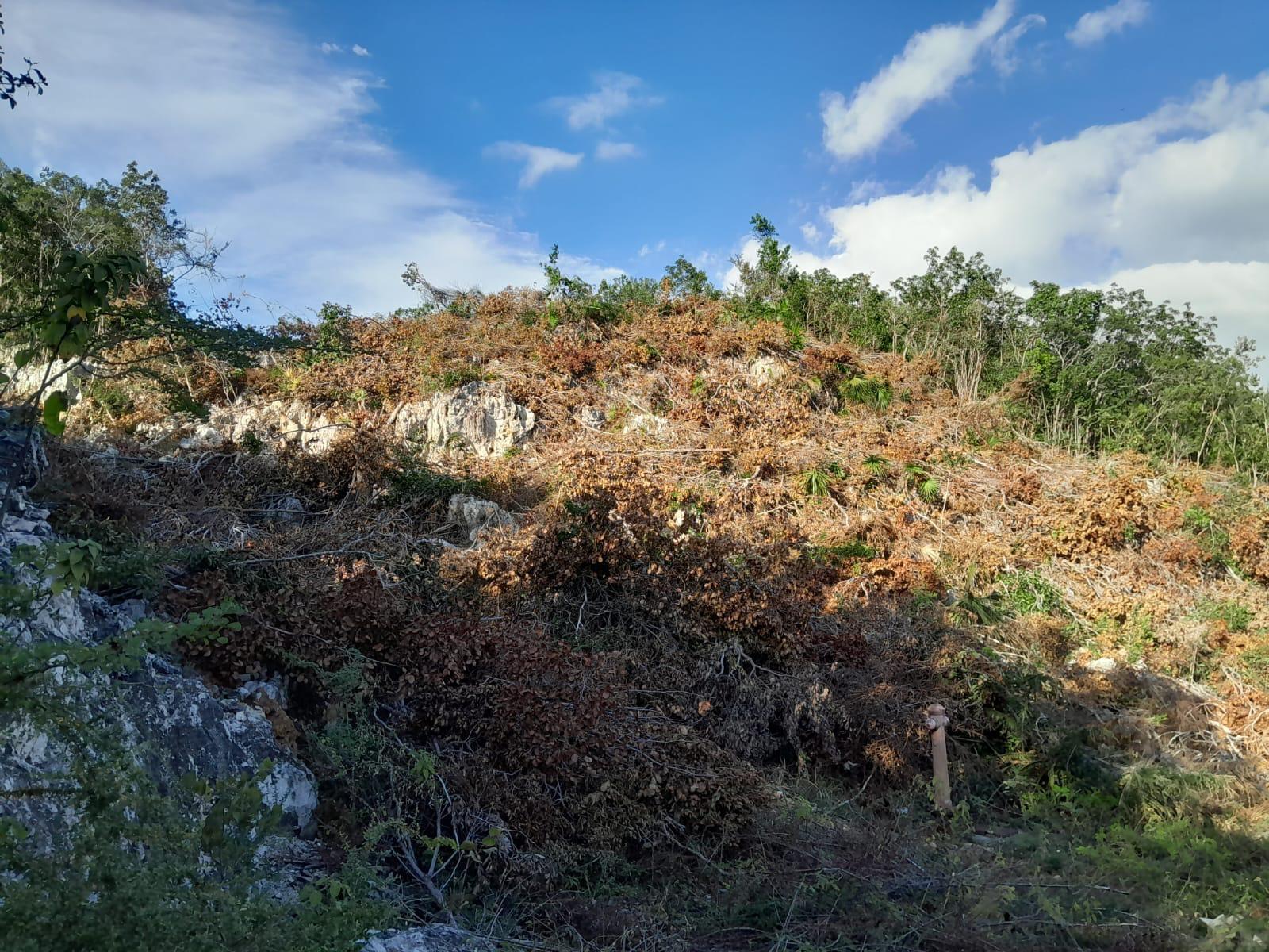 ST JAGO HILLS St. Catherine Spanish Town — photo 4
