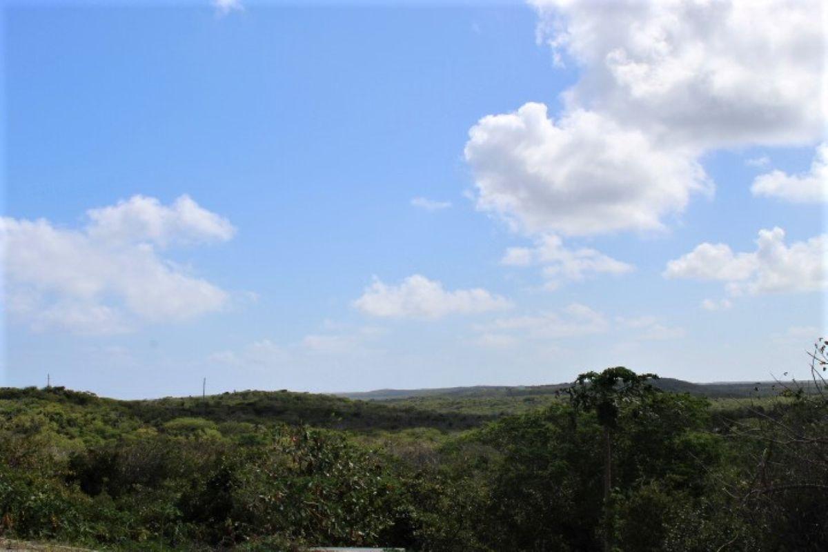 LOT# C3 SCRUB HILL — photo 3