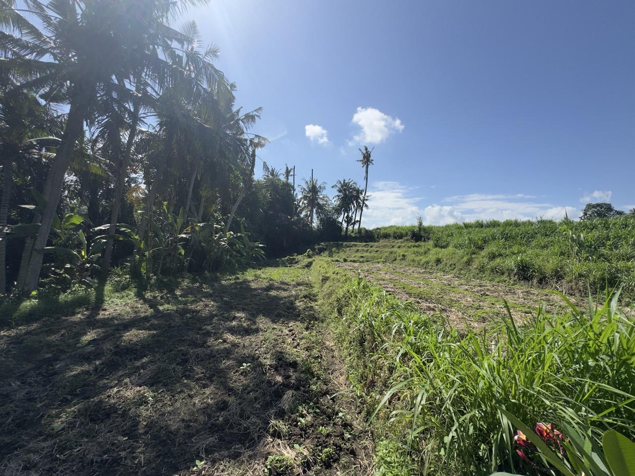 Land for Sale with River View – Blahbatuh, Gianyar, Bali — photo 1