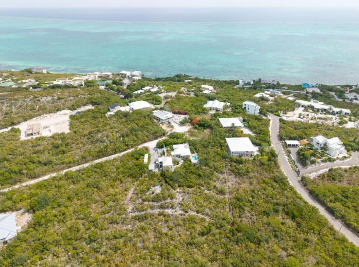 Blue Mountain 0.40 Acre Incredible Opportunity — photo 4