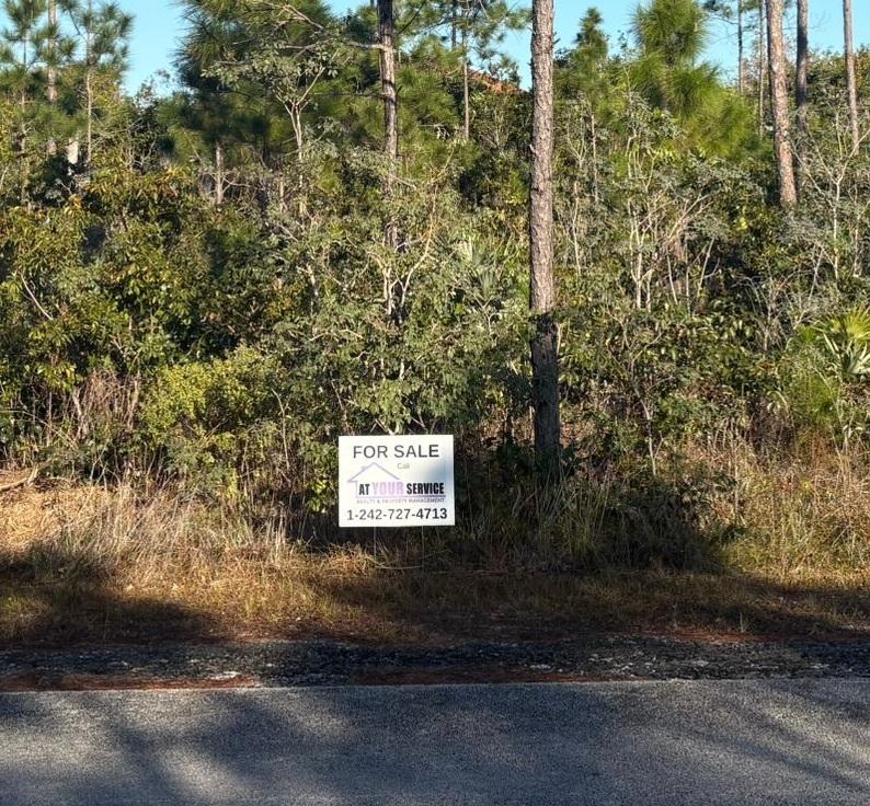 19 DEFENDER AVENUE — photo 2