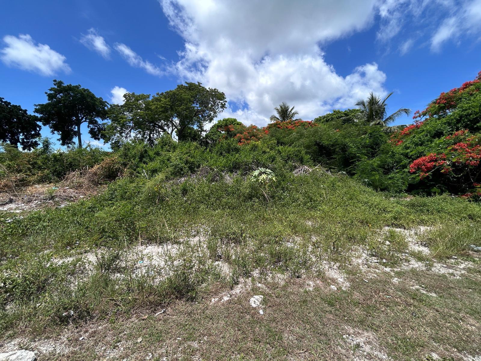 LOT #269, TULIP DRIVE — photo 4