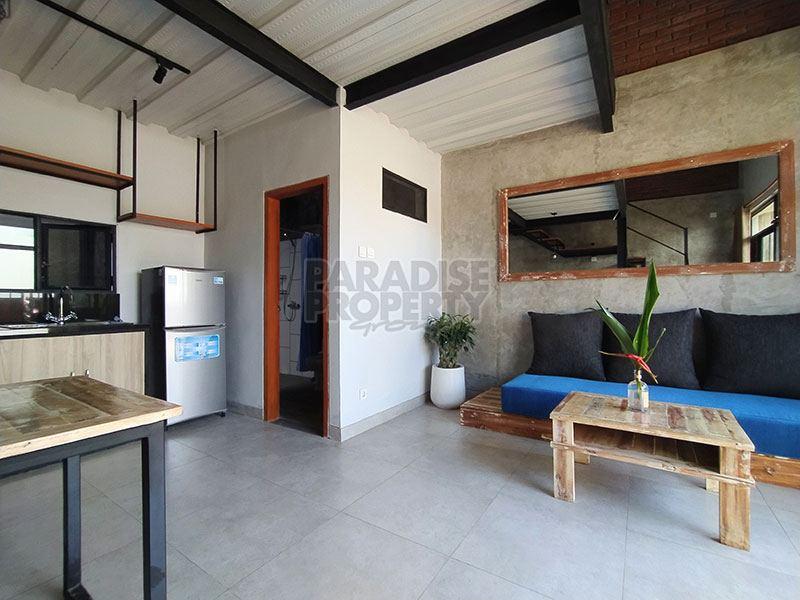 Brand New Loft Style Townhouse — photo 4