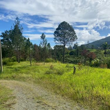 Terreno en Venta, Pedregal Jarabacoa - 1996 Metros — photo 1