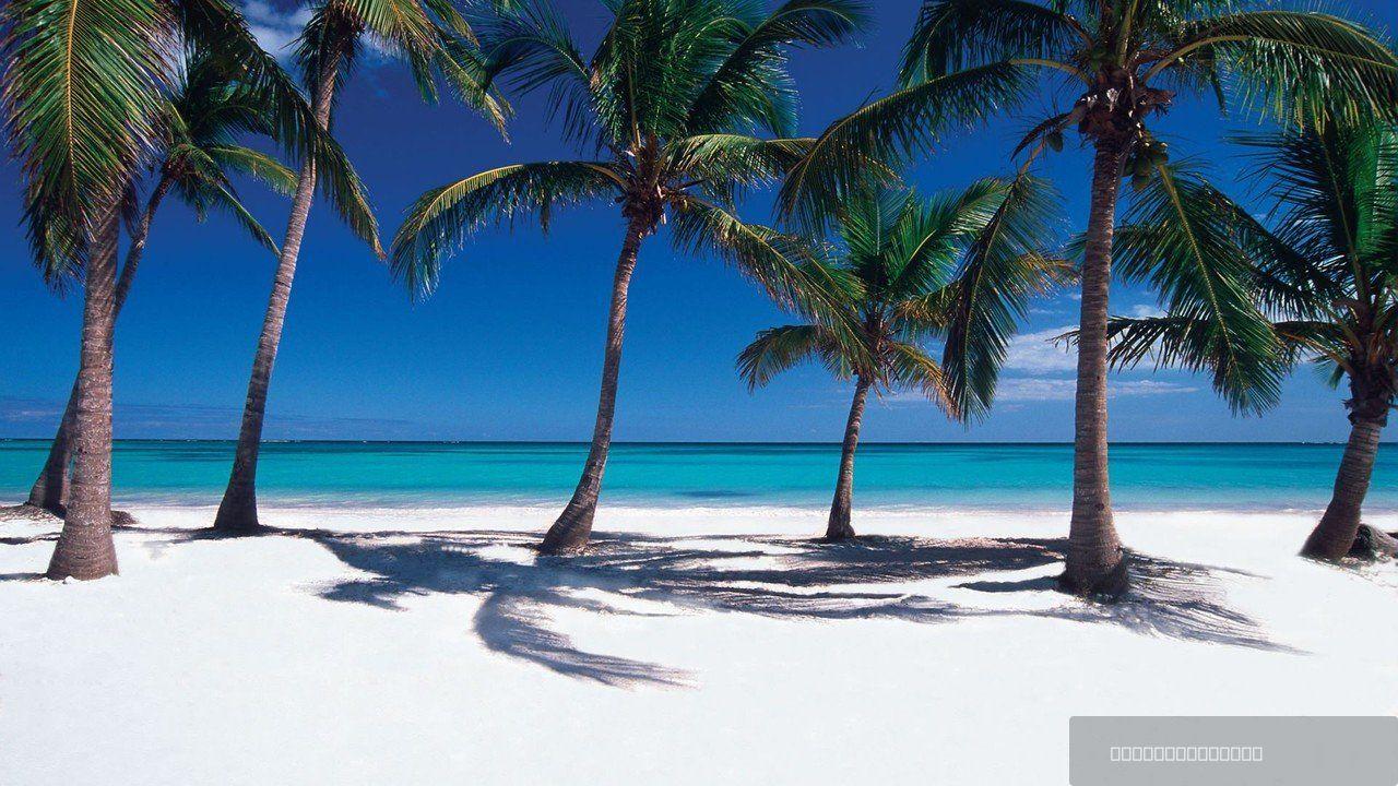 1 Bedroom Apartment in Cap Cana — photo 5