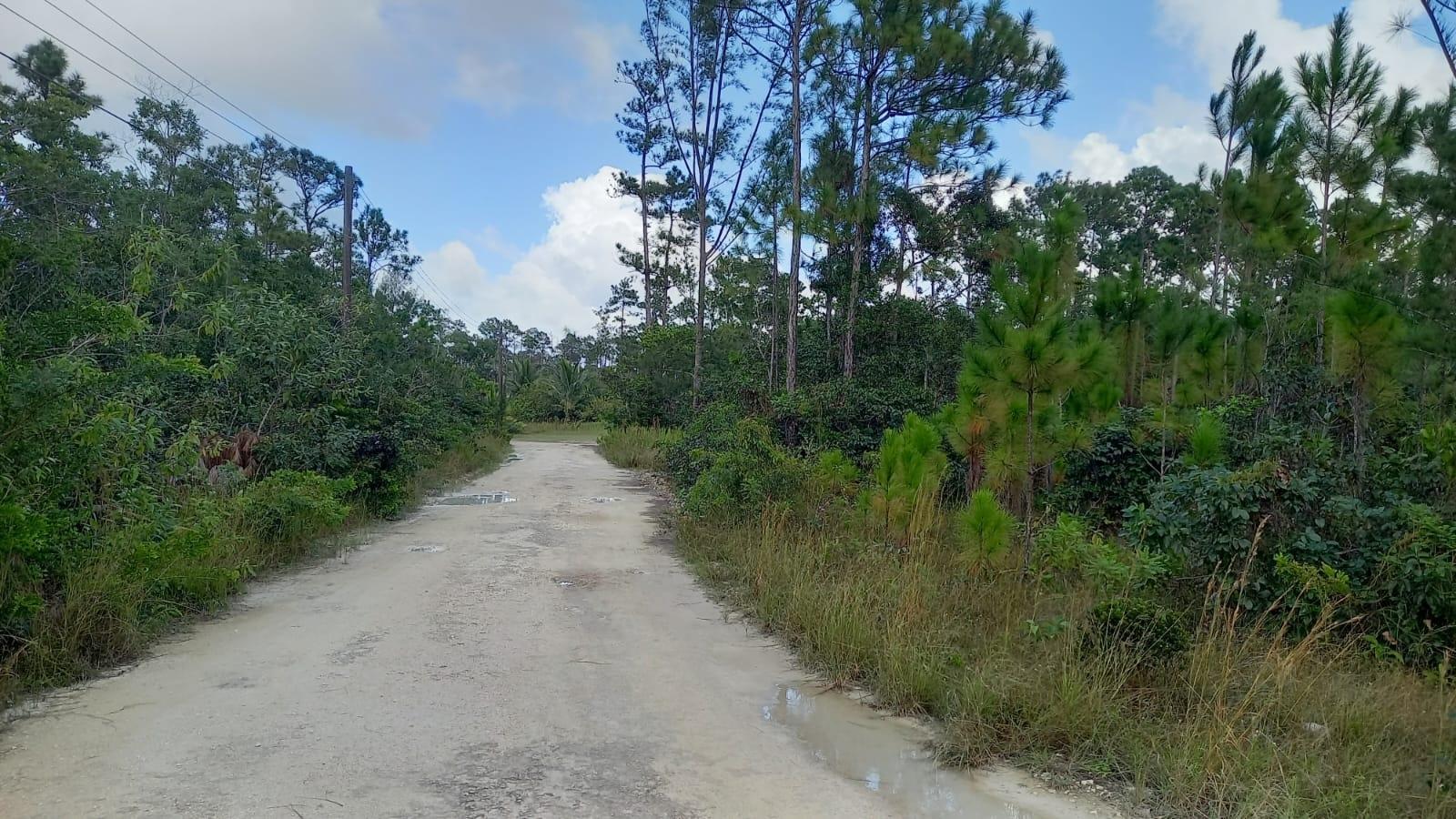 North Andros Vacant Land — photo 3