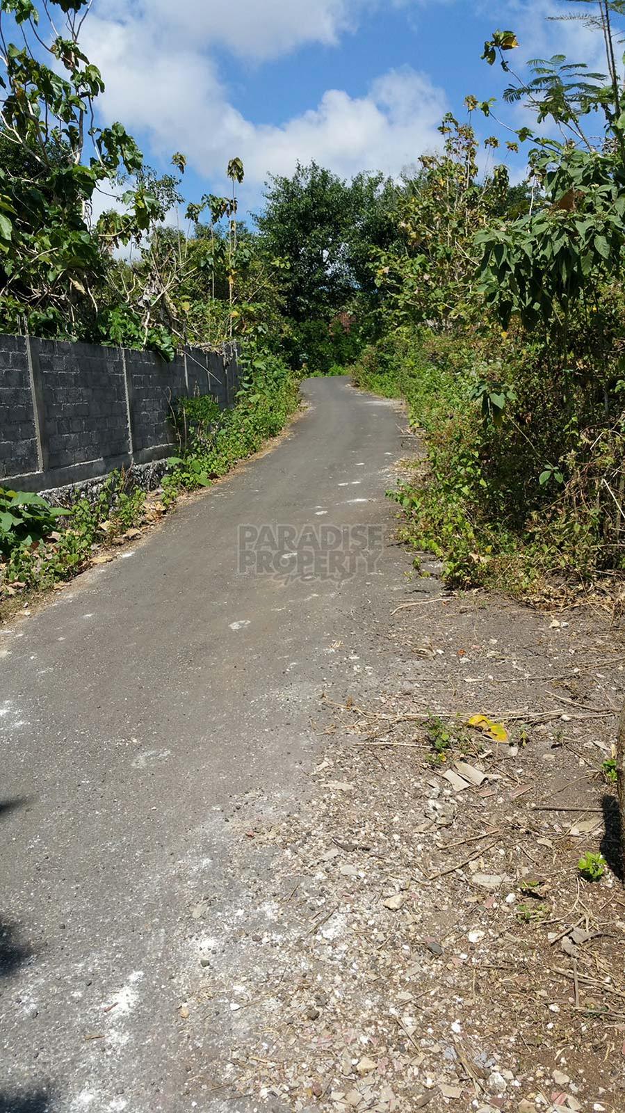 Freehold Land Near Asian International School in Jimbaran — photo 4