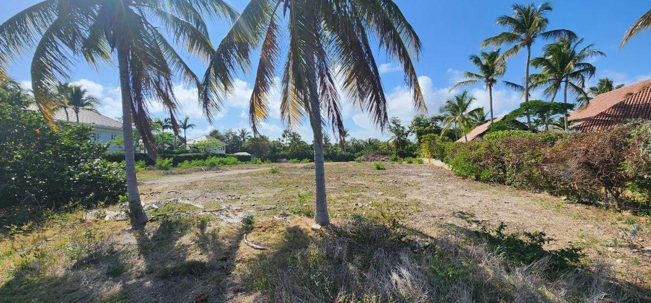 Lot in Prestigious Puntacana Resort & Golf — photo 4