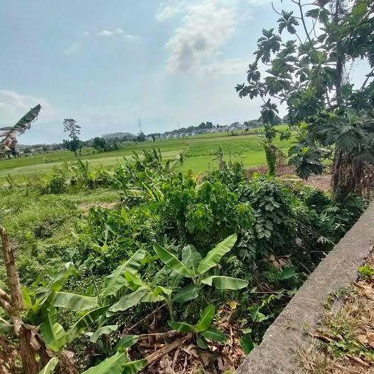 Land plot for sale in Mataram, 147 m² — photo 1