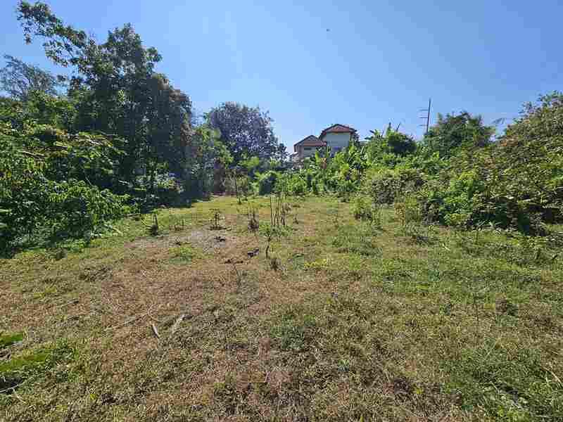 Prime Land Opportunity – Freehold Land in Strategic Kesiman Kertalangu — photo 5