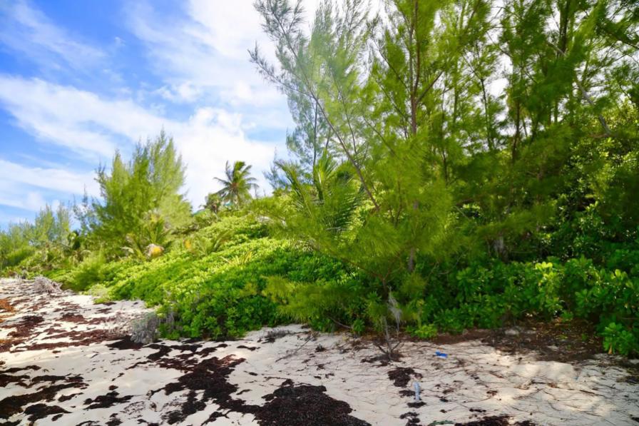 Palmetto Point 0.62 Acre Lot — photo 4