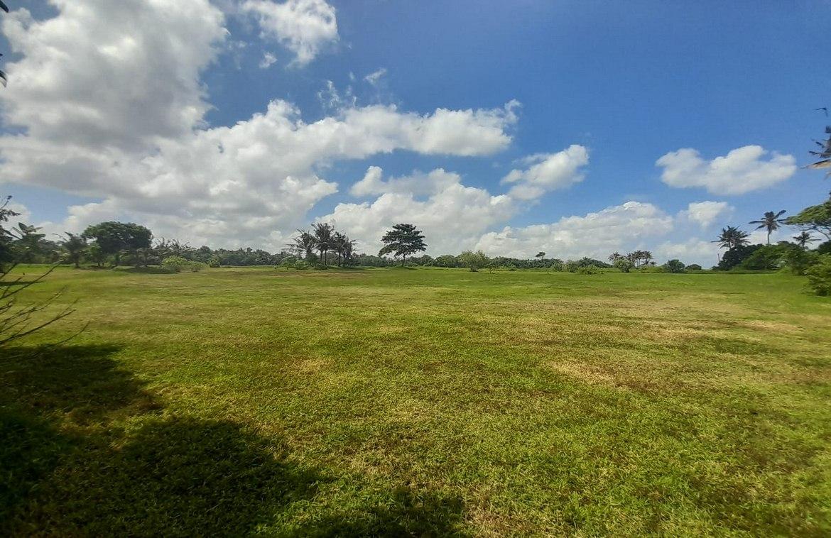 Prime 500sqm freehold plot close to beach in Kedungu, Tanah Lot, Bali, Indonesia — photo 2