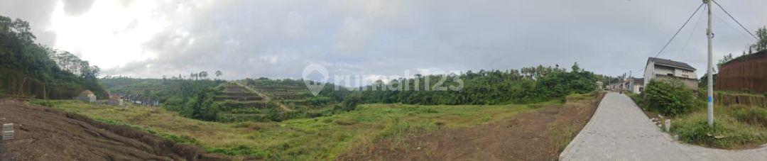 2-bedroom house in Tabanan, Bali — photo 5
