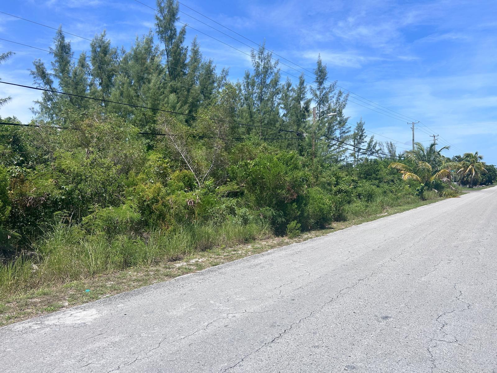 1/2 Acre Multi Family Lot in Nassau — photo 5