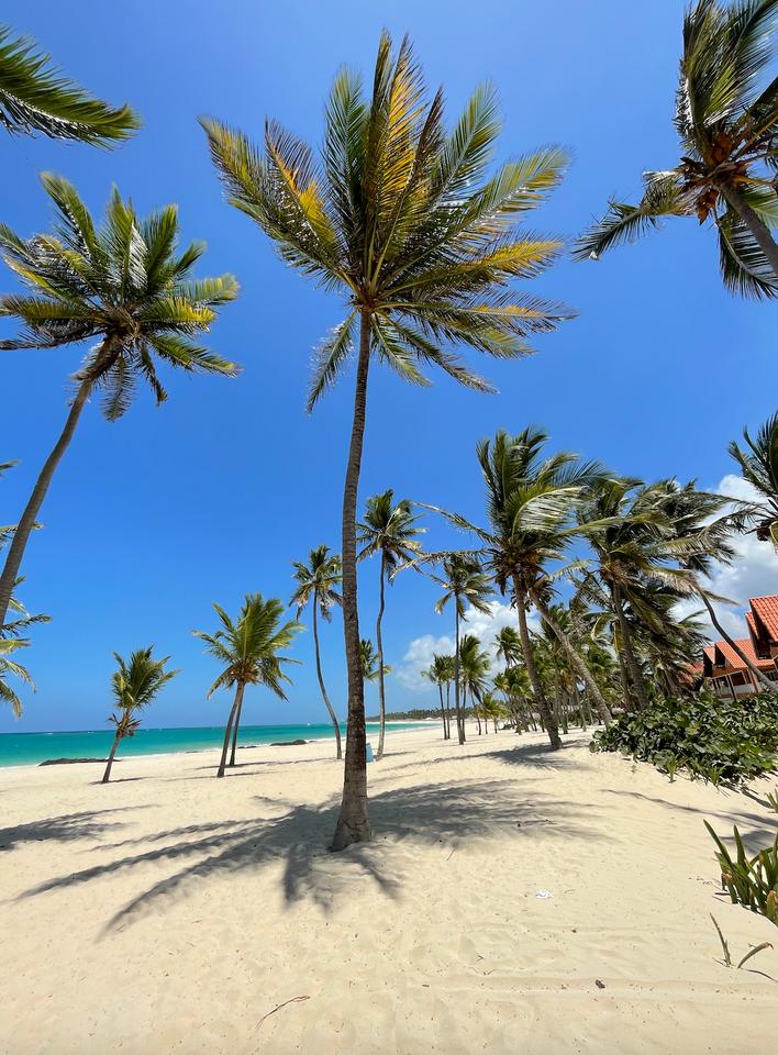 2 Bedroom 2 Bathroom Apartment White Sands Bavaro — photo 3