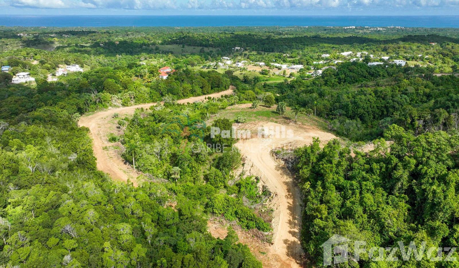 Farm for Sale in Sosua, Puerto Plata — photo 3