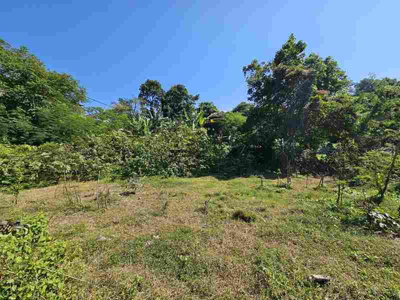 Prime Land Opportunity – Freehold Land in Strategic Kesiman Kertalangu — photo 3