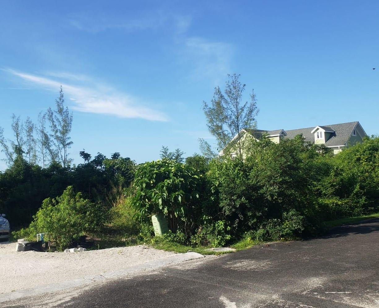 LOT 90 INDIGO — photo 5