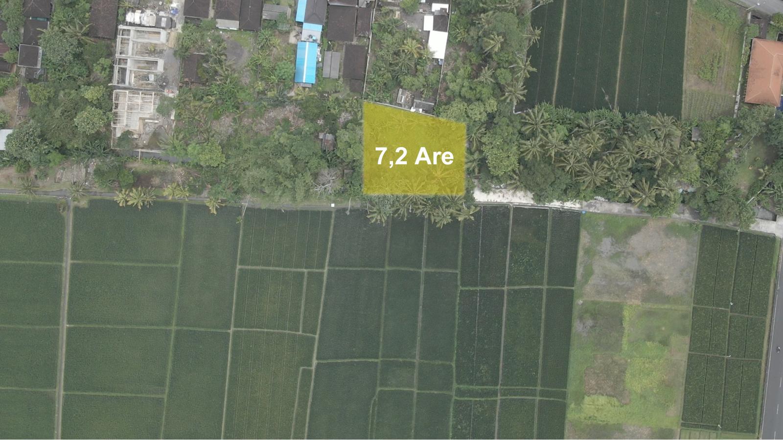 Leasehold Land for Sale in Kedungu with Beautiful Rice Field Views — photo 3