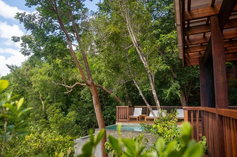 A timber villa deck with a plunge pool and loungers set into forest canopy
