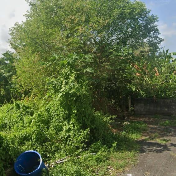 Land for sale in Denpasar — photo 1
