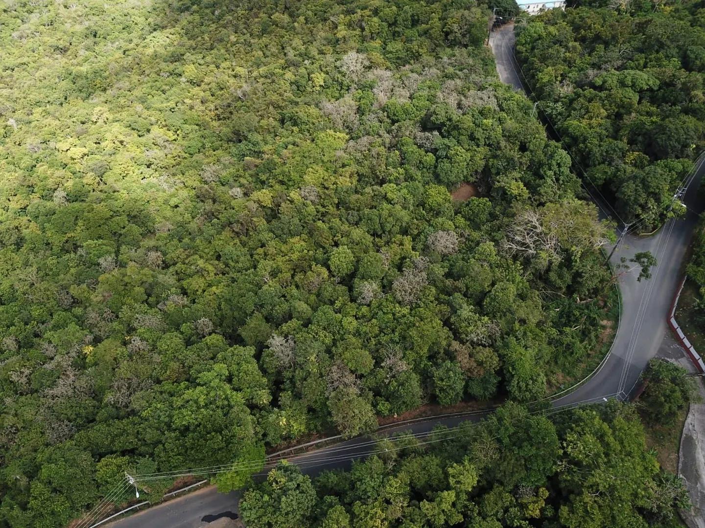 2.18 Acre Homesite Lot on Northside — photo 3