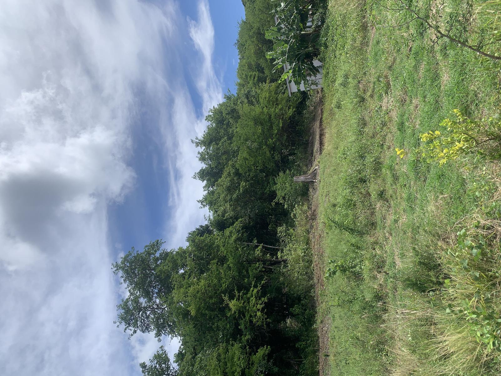Affordable Elevated View Lots in Monchy – Ideal for Homes — photo 3