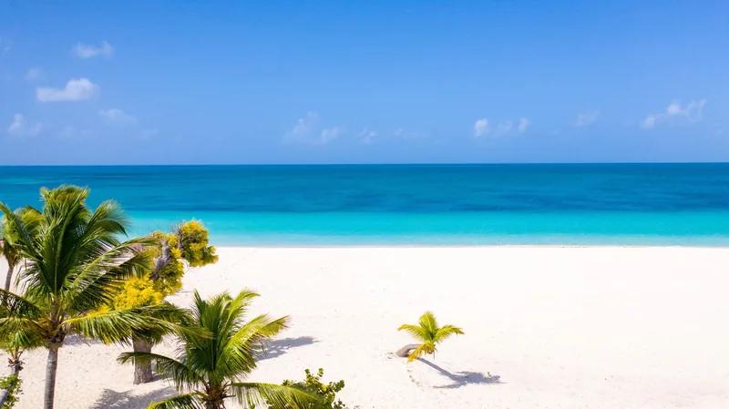 Palms leaning over a white Barbuda beach and clear turquoise water
