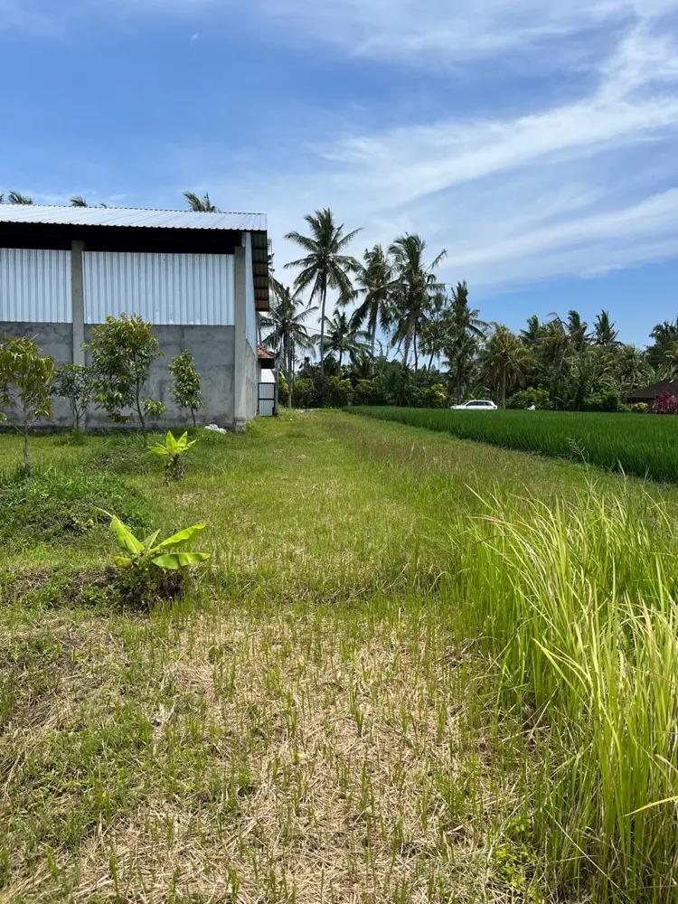 For Sale: Freehold Land 15 Are in Tabanan – Residential Zone (Yellow) — photo 3