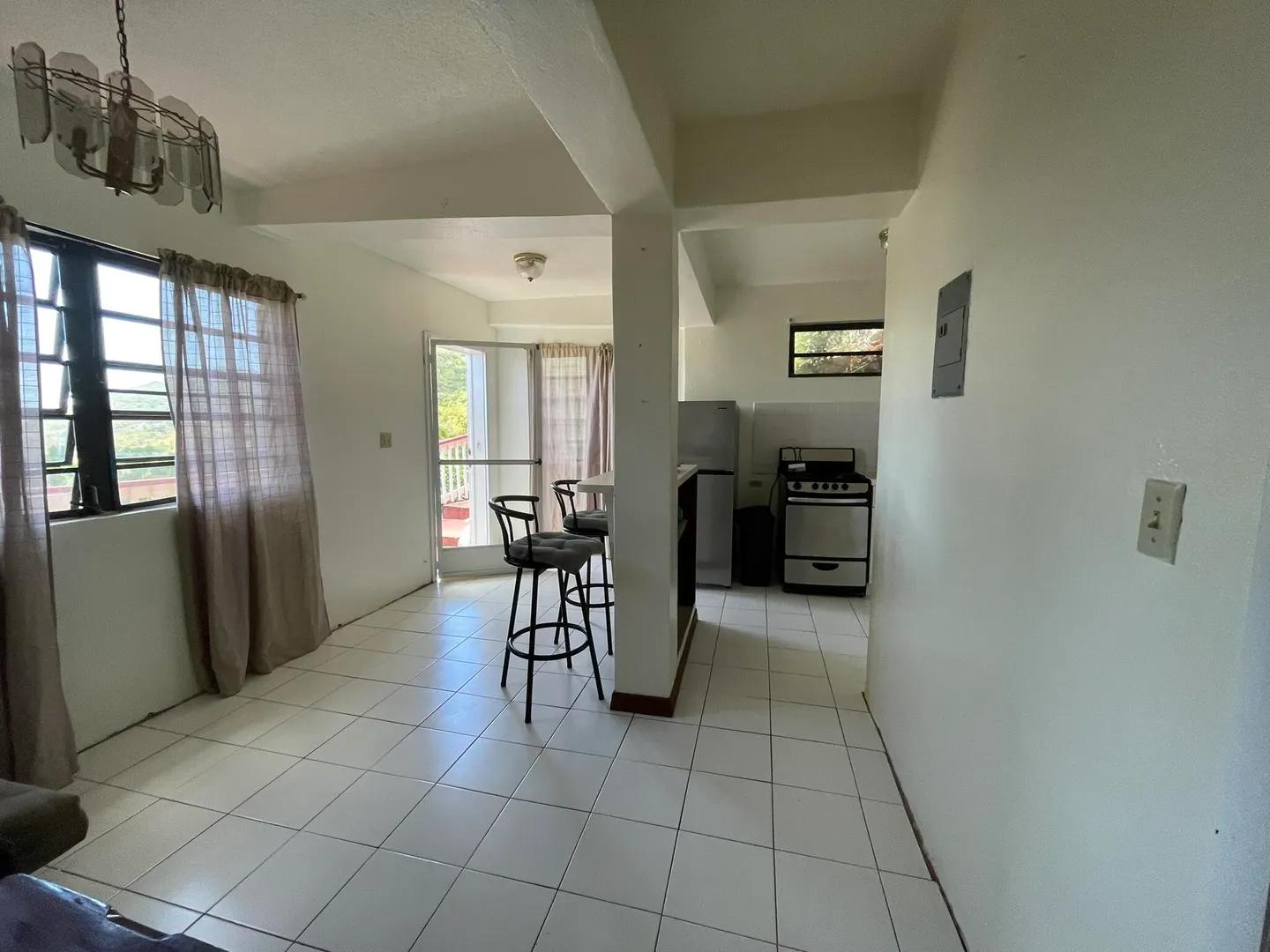 1 Bedroom Apartment in Contant Ss, US Virgin Islands — photo 4