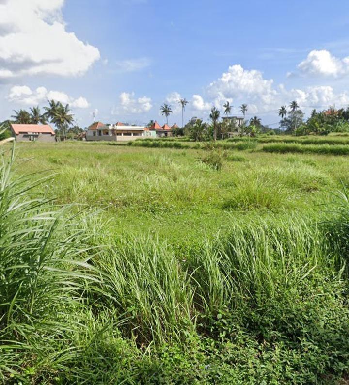 35 Are Land for Lease in Lodtunduh, Ubud with Rice Field Views — photo 4