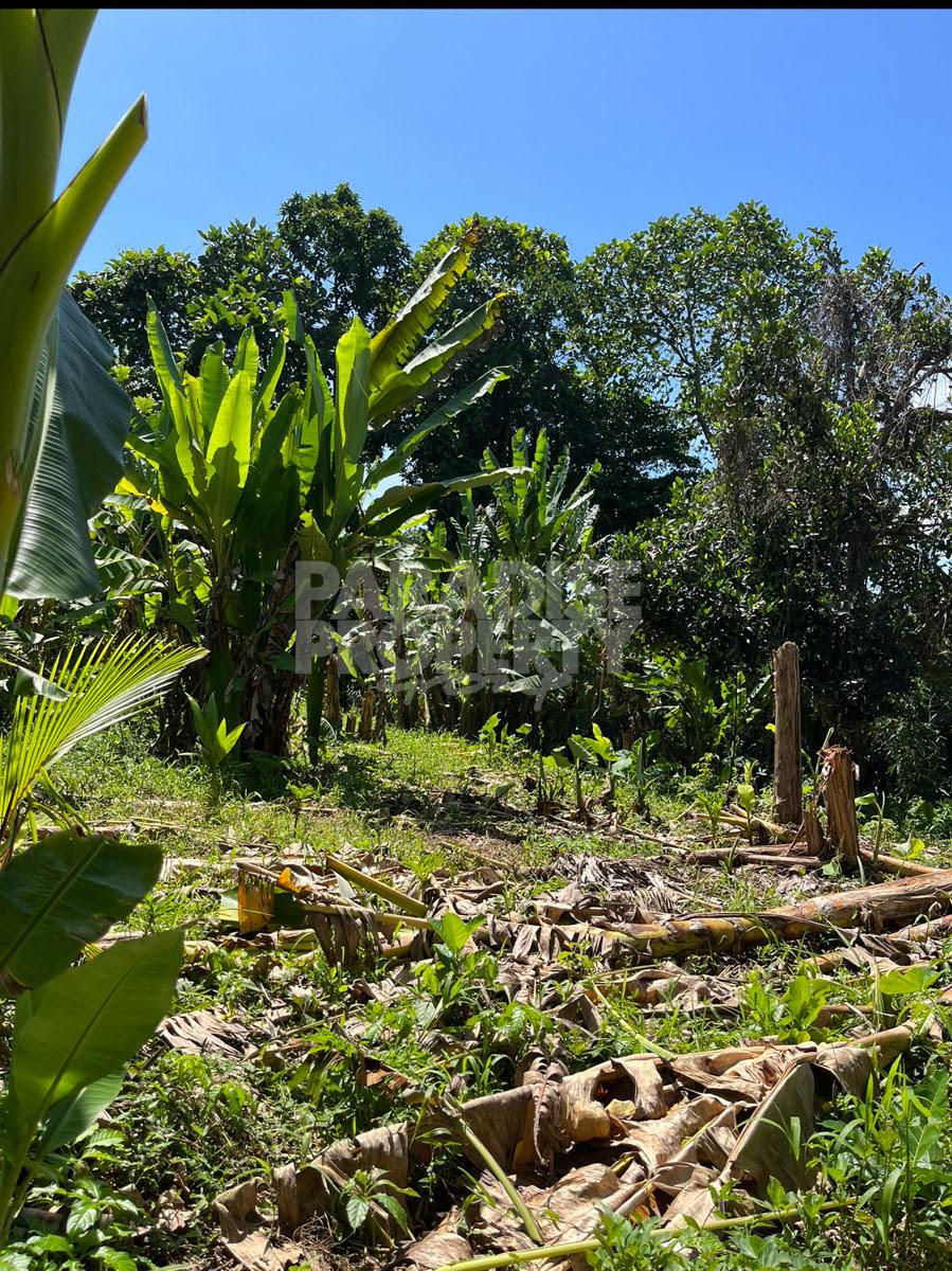 80-Year Leasehold Riverfront Land, 3,000 m² in Kelating Tranquil Pink Zone • 5 Minutes to the Beach — photo 5