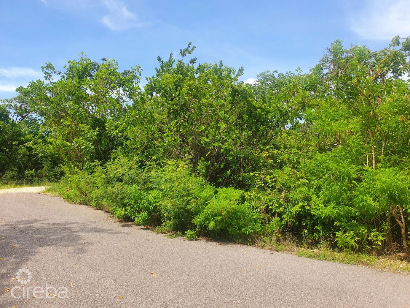 Cb West On The Bluff — photo 2
