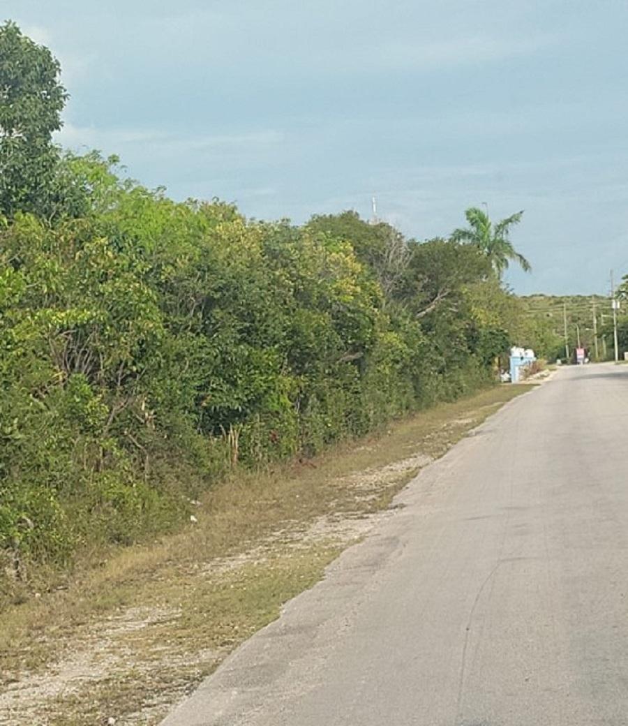 Residence for sale - HAMILTON, LONG ISLAND in Long Island, The Bahamas — photo 5
