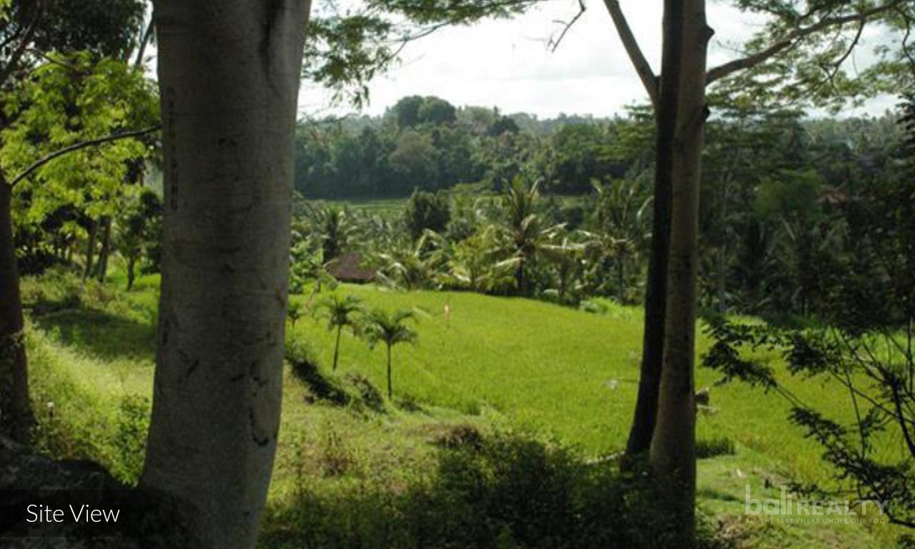 Expansive 2.7 Hectare Freehold Land Ready for Development in Samplangan, Gianyar — photo 5
