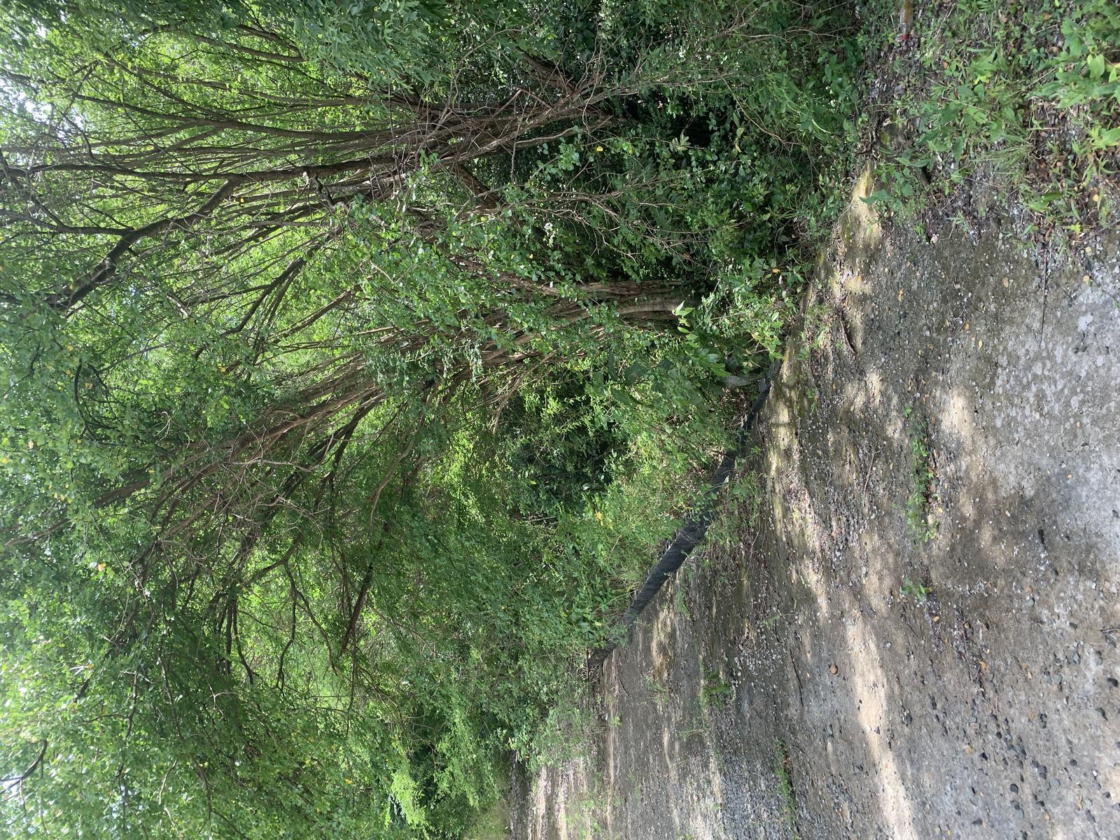 Affordable Elevated View Lots in Monchy – Ideal for Homes — photo 1