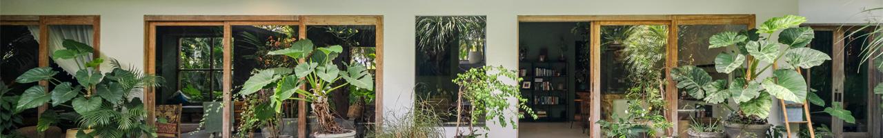 Four-Bedroom Villa for Sale in Prime Canggu, Bali, Indonesia — photo 2