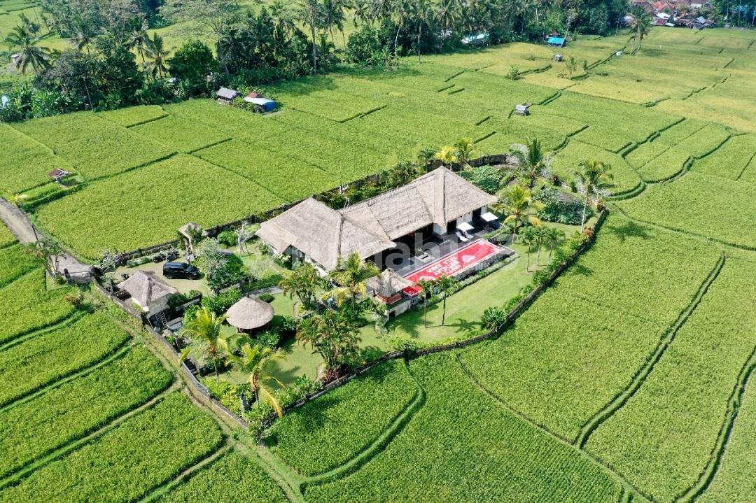 2-bedroom house in Ubud with rice field view — photo 3