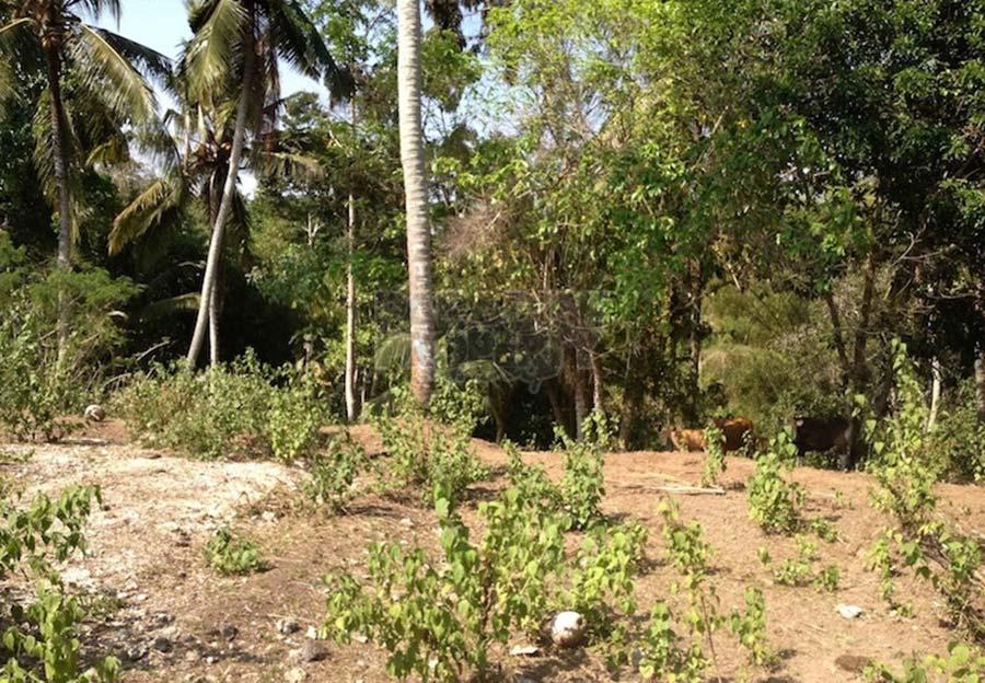 Exclusive Piece of Freehold Land for Sale – Nyanyi Beach — photo 4
