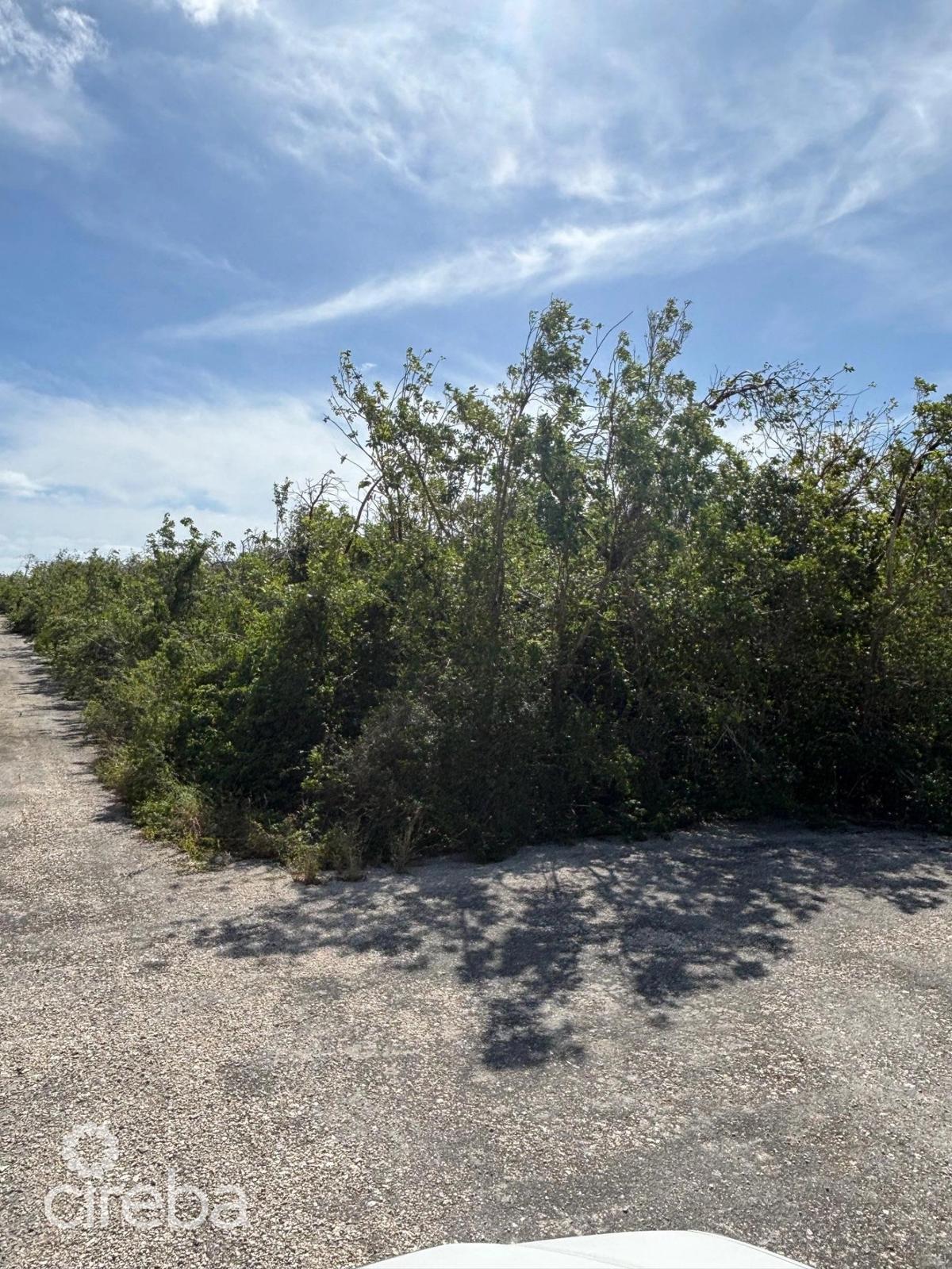 0.3017 Acres in Little Cayman East — photo 4